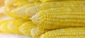 Grains of ripe corn. close up corn in sun light