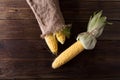 Grains of ripe corn on wooden background. Corn cob and green leaves on wooden background,