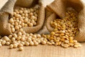 Grains seed legumes in sack Royalty Free Stock Photo