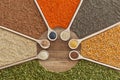 Grains, seeds and cereals variety on the table