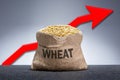 Grains of the wheat in bags and red arrow up graph of wheat prices. Royalty Free Stock Photo