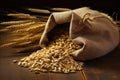 Grains of wheat in a burlap sack on the wooden table