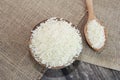 Grains of white rice in a wooden spoon and plate Royalty Free Stock Photo