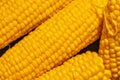 Grains of yellow ripe corn. Royalty Free Stock Photo