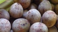 grainy and blurry picture of a brown ball fruit called as Lansium domesticum or Lansium parasiticum langsat kokosan pisitan