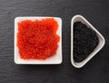 Grainy caviar of paddlefish fish in a white ceramic plate and red chum salmon caviar in a white ceramic bowl Royalty Free Stock Photo