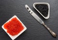 Grainy caviar of paddlefish fish in a white ceramic plate and red chum salmon caviar in a white ceramic bowl Royalty Free Stock Photo