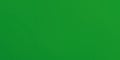 Grainy gradient background of solid green color Royalty Free Stock Photo