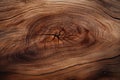 Grainy Macro wood texture. Generate Ai