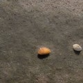 A grainy and sandy texture with beach sand and seashells2, Generative AI