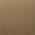 A grainy and sandy texture with desert sand and beach sand1, Generative AI
