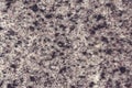 Grainy surface black gray granite, texture background Royalty Free Stock Photo