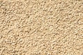 Grainy texture of decorative plaster. Tiny grains little stones in cement or concrete. Vintage decorations. Grainy wall Royalty Free Stock Photo