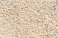 Grainy texture of decorative plaster. Tiny grains little stones in cement or concrete. Vintage decorations. Grainy wall Royalty Free Stock Photo