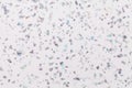 Grainy white background with gray shiny spots from foil sparkles. Texture backdrop with small crumb pattern Royalty Free Stock Photo