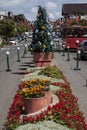 Gramado Christmas Tree South of Brazil