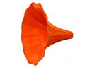 Gramophone funnel-clipping path