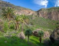 Gran Canaria, Calder de Bandama after winter rains Royalty Free Stock Photo