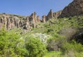 Gran Canaria, Caldera de Bandama, retama Royalty Free Stock Photo