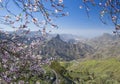 Gran Canaria, Caldera de Tejeda in January Royalty Free Stock Photo