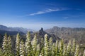 Gran Canaria, Caldera de Tejeda in January Royalty Free Stock Photo