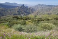 Gran Canaria, Caldera de Tejeda in January Royalty Free Stock Photo