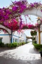 Gran canaria Puerto de Mogan white houses