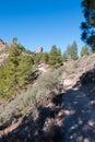 Hiking Gran Canaria Royalty Free Stock Photo