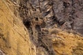 Gran Canaria, valley Barranco de Valeron Royalty Free Stock Photo