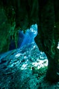 Gran cenote entrance Royalty Free Stock Photo