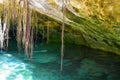 Gran Cenote is a natural sinkhole with clear water, at Tulum in Mexico Royalty Free Stock Photo