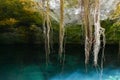 Gran Cenote is a natural sinkhole with clear water, at Tulum in Mexico Royalty Free Stock Photo