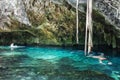 Gran Cenote in Yucatan, Mexico Royalty Free Stock Photo