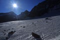 Gran Paradiso national park. Aosta Valley, Italy Royalty Free Stock Photo