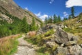 Gran Paradiso national park. Aosta Valley, Italy Royalty Free Stock Photo