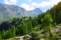 Gran Paradiso National Park. Aosta Valley, Italy. Royalty Free Stock Photo