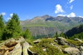 Gran Paradiso National Park. Aosta Valley, Italy. Royalty Free Stock Photo