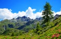 Gran Paradiso National Park. Aosta Valley, Italy. Royalty Free Stock Photo
