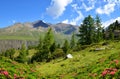 Gran Paradiso National Park. Aosta Valley, Italy. Royalty Free Stock Photo