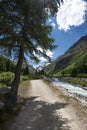 Gran Paradiso National Park, Aosta valley, Italy