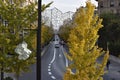 Gran Via de Granada with the yellow autumn Ginkgo biloba