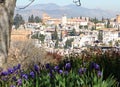 Granada - Alhambra - Generalife Royalty Free Stock Photo