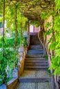 Picturesque stairs in the Generalife Palace in Granada, Andalusia, Spain.