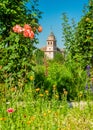 Flowery view of the Generalife and the Alhambra Palace in Granada, Andalusia, Spain.