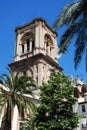 Granada cathedral bell tower. Royalty Free Stock Photo