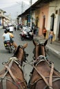 Granada Nicaragua Street Scene