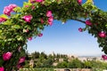 GRANADA, SPAIN - MAY 2017: View over Alhambra Palaces through a rose bush