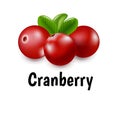 Granberry With Transparent Background