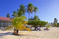 Grand Anse beach in Grenada, Caribbean Royalty Free Stock Photo