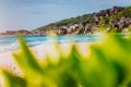 Grand Anse, La Digue island, Seychelles. Defocused lush green vegetation in foreground and gorgeous white sand paradise Royalty Free Stock Photo